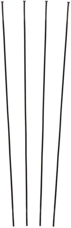 Campagnolo® Rayons Zonda C17 àpd Modèle 2016