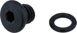 Shimano Vis De Purge Avec Joint Pour ST-EF505