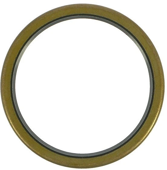 Dt-swiss Joint Pour Moyeu/Roue Libre Arrière DT àpd 1998